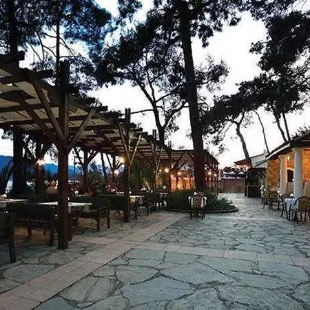 Complex Club Nimara